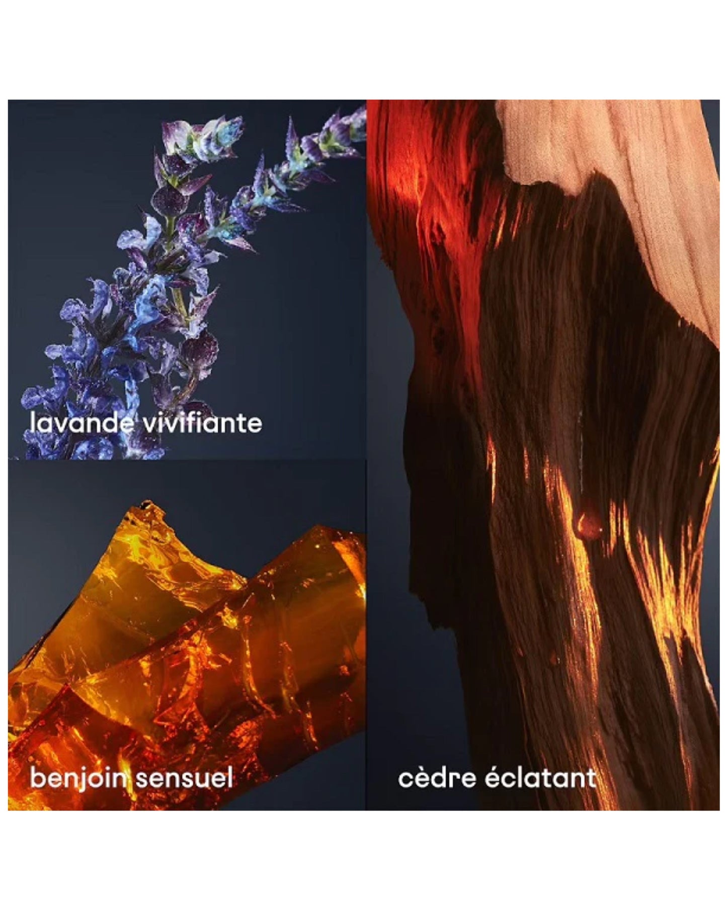 1 MILLION ROYAL – PARFUM PACO RABANNE