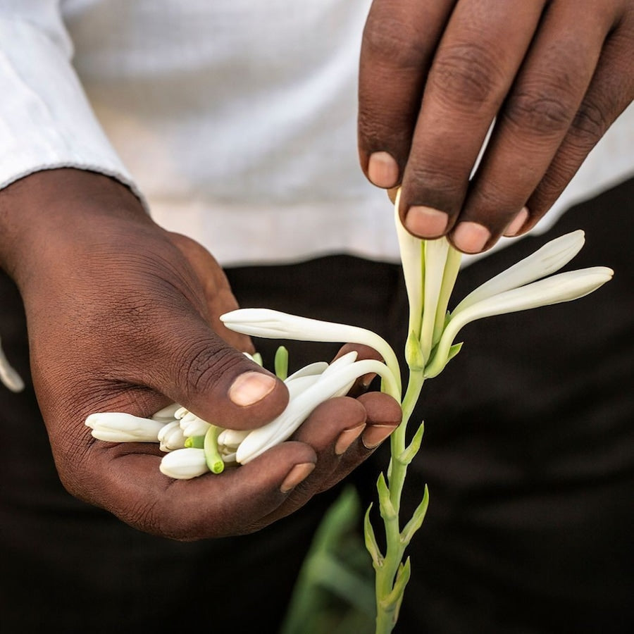 GIVENCHY - L'Interdit Tubéreuse Noire 80 ml